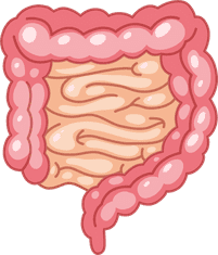 Upwellness Probiotic Plus Reviews