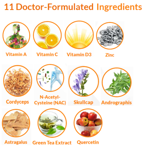 Immune 11X Ingredients